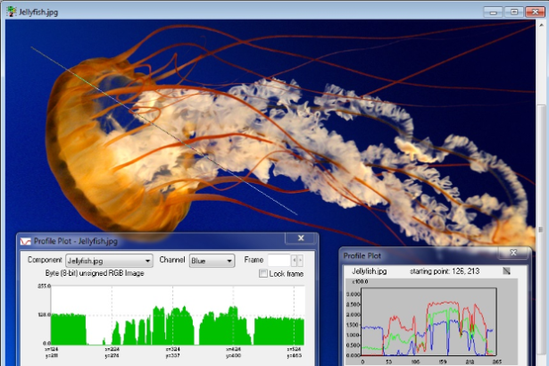 video investigation software
