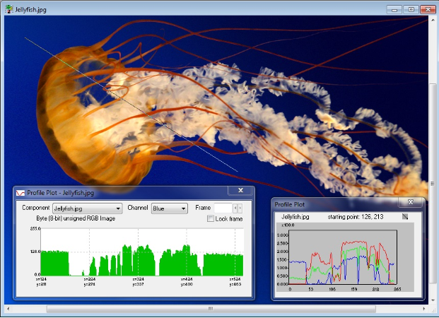 video investigation software